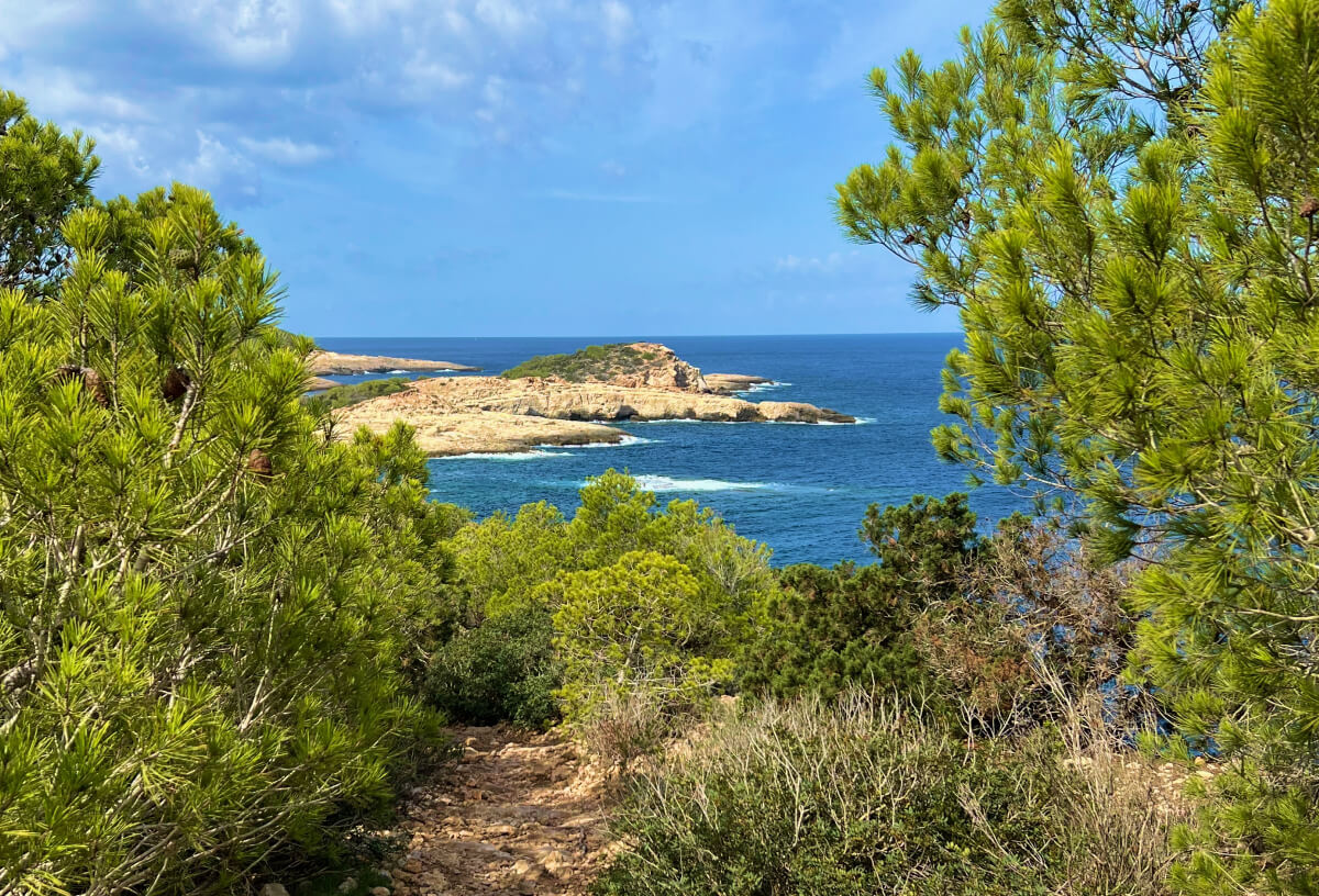 Walking trail in Ibiza