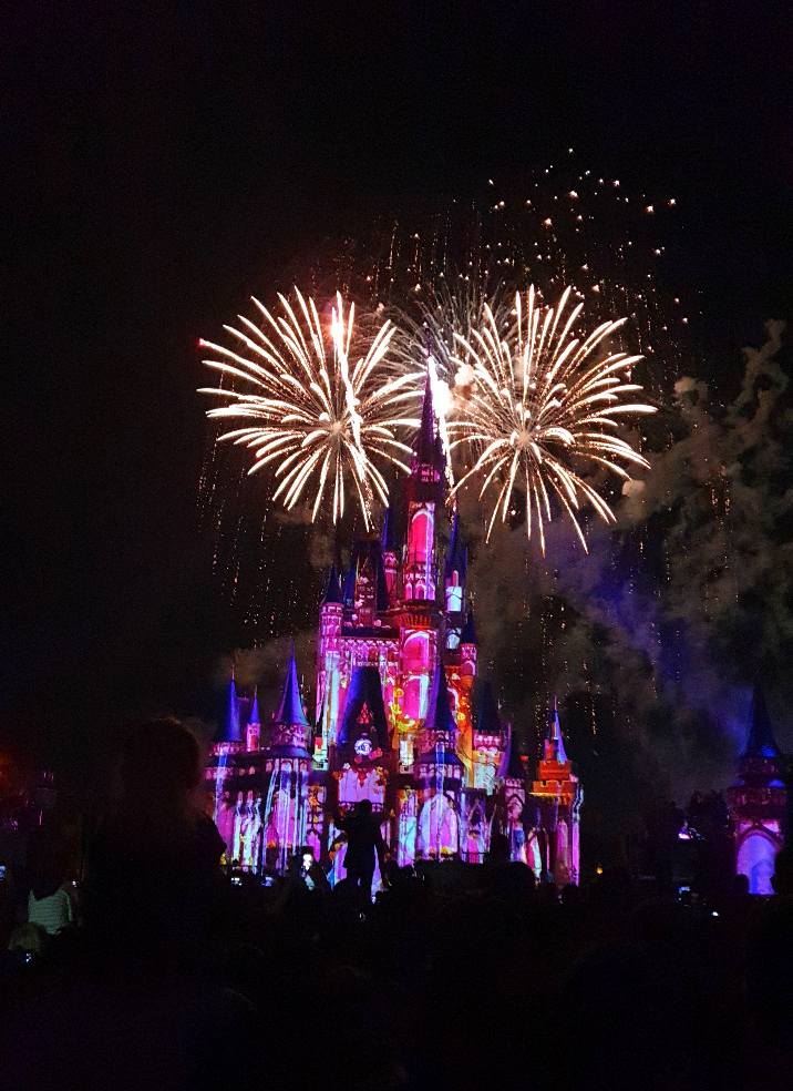 Happily Ever After Magic Kingdom Firework Display