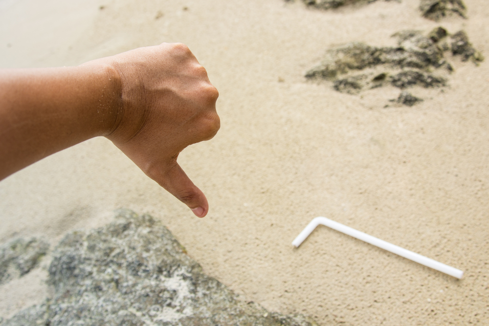 Say no to single use plastic straws image