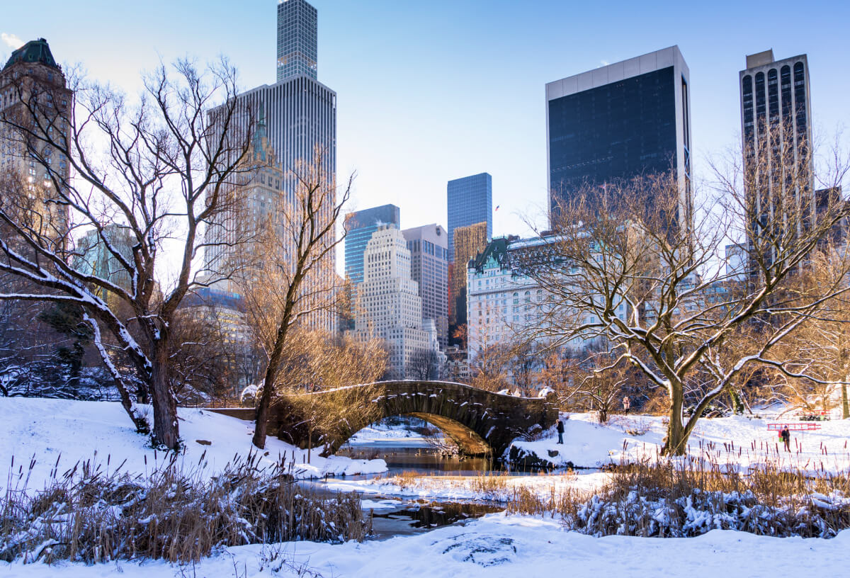 Central park in New York