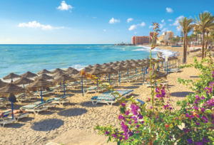 A Beginner’s Guide To All Inclusive