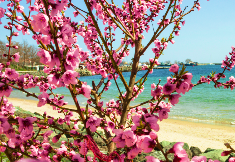 Spring in Bulgaria