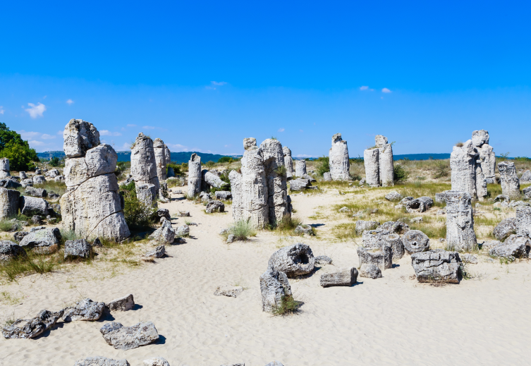 Varna Stone Forest in Bulgaria