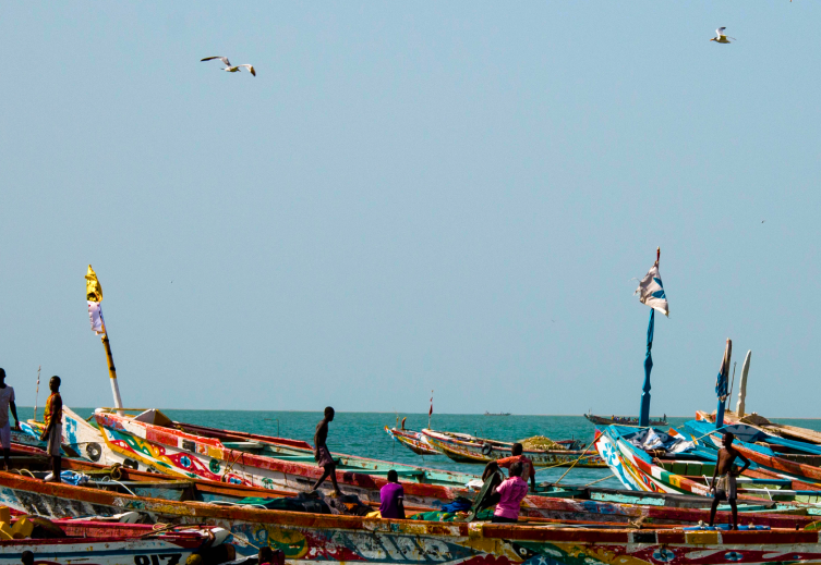 Cultural history in Gambia