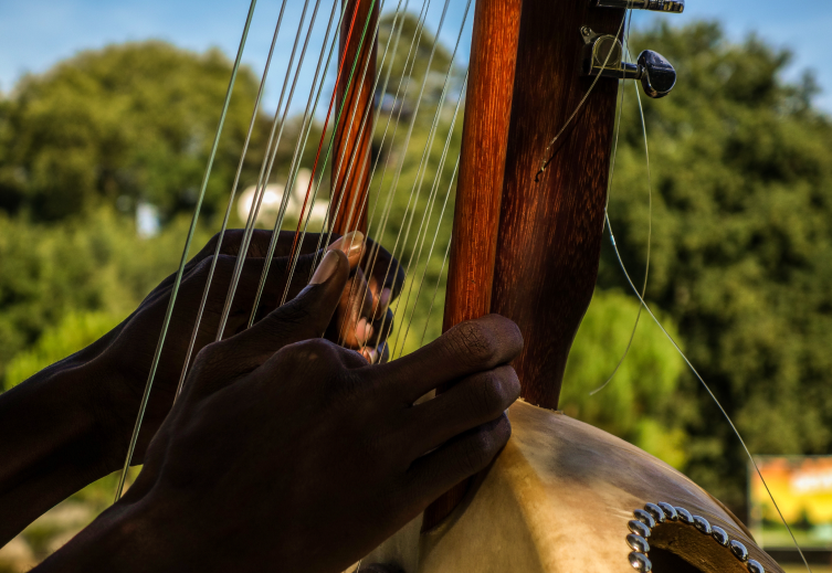 Music in Gambia